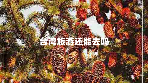 臺灣旅游還能去嗎