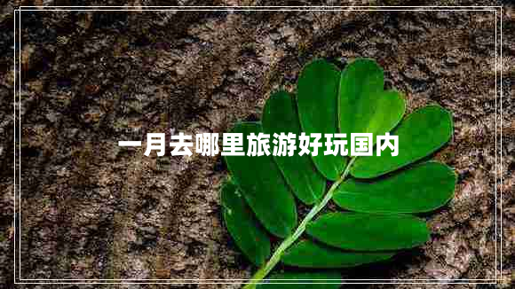 一月去哪里旅游好玩國(guó)內(nèi)