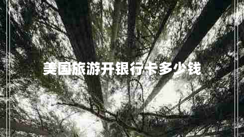 美國旅游開銀行卡多少錢