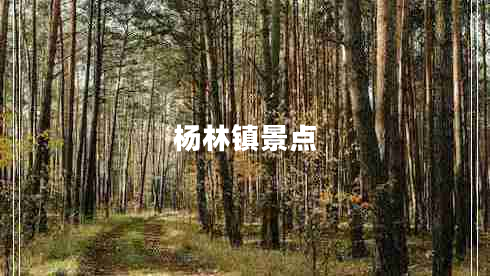 楊林鎮(zhèn)景點