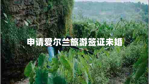 申請愛爾蘭旅游簽證未婚