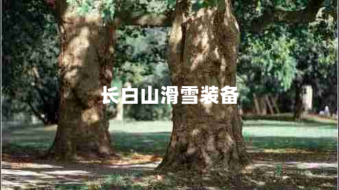 長(zhǎng)白山滑雪裝備