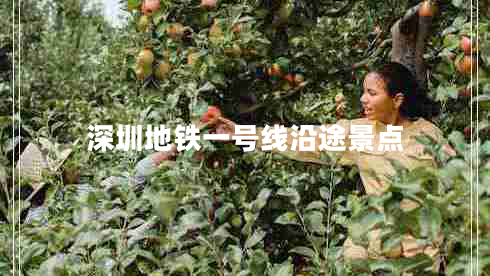 深圳地鐵一號線沿途景點