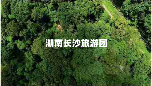 湖南長(zhǎng)沙旅游團(tuán)