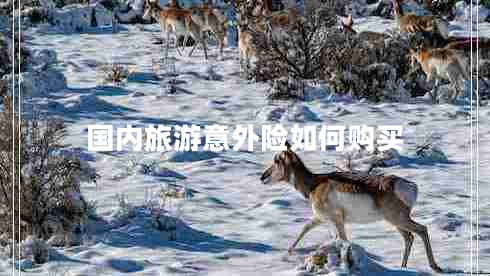 國(guó)內(nèi)旅游意外險(xiǎn)如何購(gòu)買(mǎi)