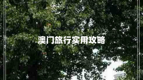 澳門旅行實用攻略