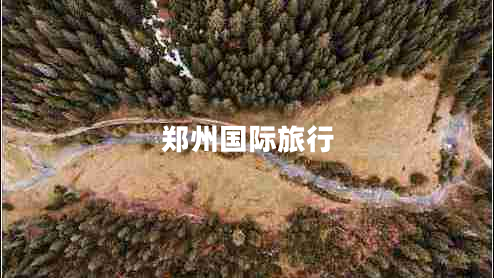 鄭州國(guó)際旅行