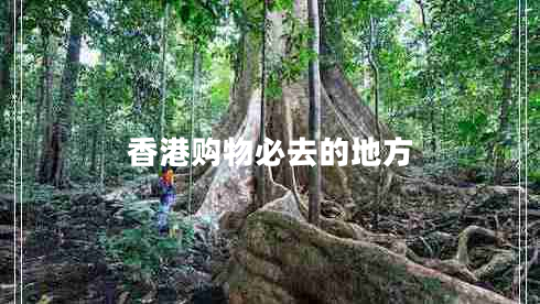 香港購(gòu)物必去的地方