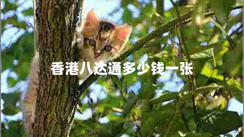 香港八達(dá)通多少錢(qián)一張