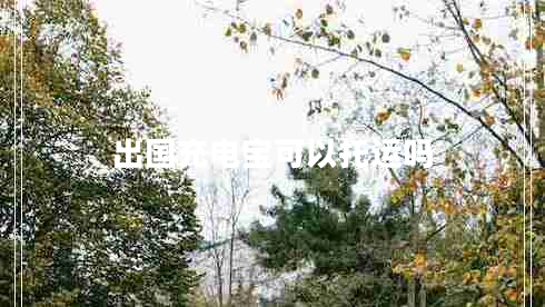 出國充電寶可以托運(yùn)嗎
