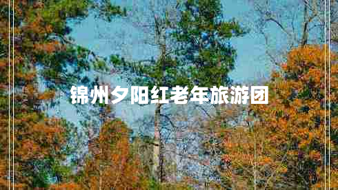 錦州夕陽紅老年旅游團