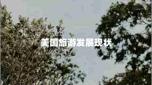 美國旅游發(fā)展現(xiàn)狀