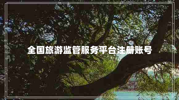 全國旅游監(jiān)管服務(wù)平臺(tái)注冊賬號(hào)