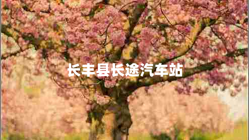長豐縣長途汽車站