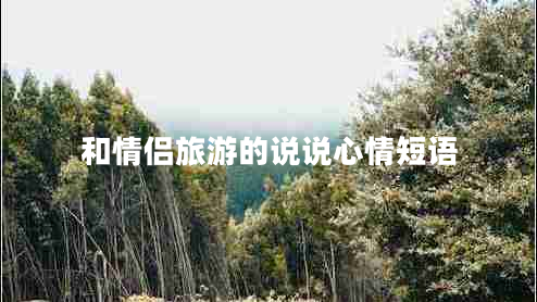 和情侶旅游的說說心情短語