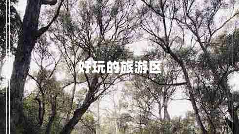 好玩的旅游區(qū)