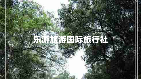 樂(lè)游旅游國(guó)際旅行社