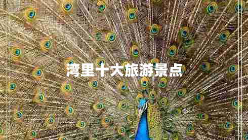 灣里十大旅游景點(diǎn)