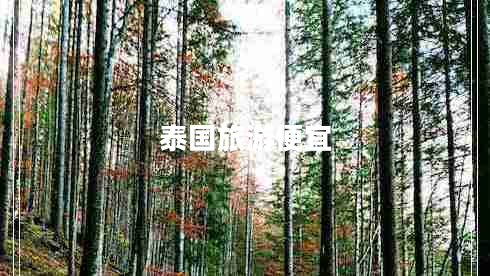 泰國(guó)旅游便宜
