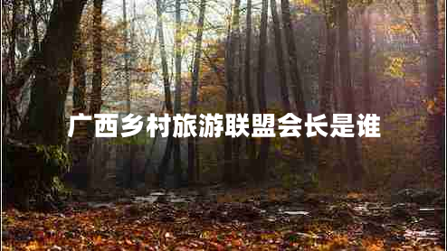 廣西鄉(xiāng)村旅游聯(lián)盟會(huì)長是誰