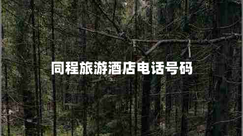 同程旅游酒店電話號碼