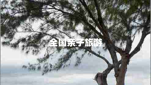 全國(guó)親子旅游