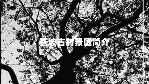 蒼坡古村景區(qū)簡介