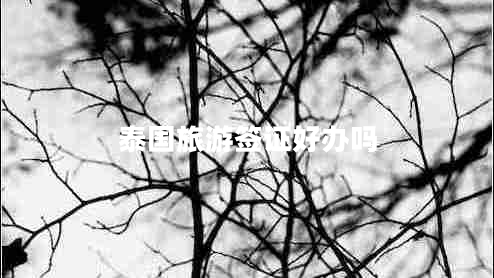泰國(guó)旅游簽證好辦嗎