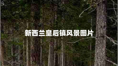 新西蘭皇后鎮(zhèn)風(fēng)景圖片