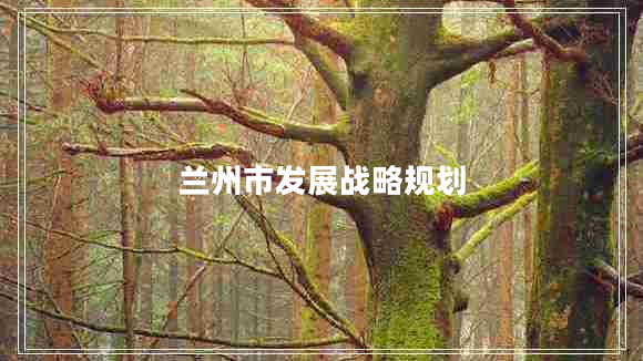 蘭州市發(fā)展戰(zhàn)略規(guī)劃