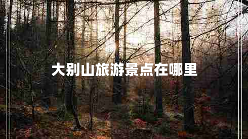 大別山旅游景點在哪里