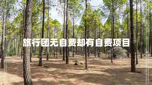 旅行團(tuán)無(wú)自費(fèi)卻有自費(fèi)項(xiàng)目