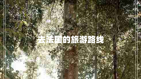去法國的旅游路線