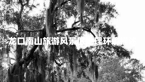 龍口南山旅游風景區(qū)地理環(huán)境描述