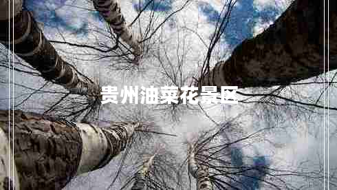 貴州油菜花景區(qū)