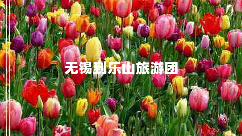 無錫到樂山旅游團(tuán)