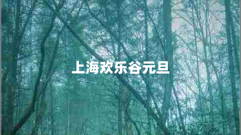 上海歡樂谷元旦