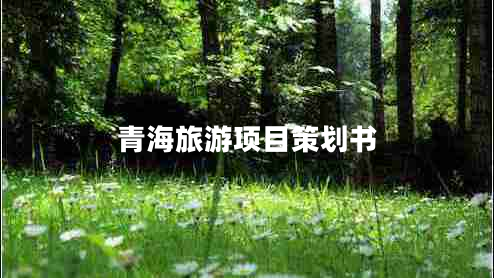 青海旅游項(xiàng)目策劃書(shū)