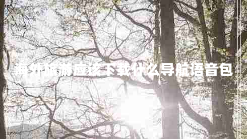 海外旅游應該下載什么導航語音包
