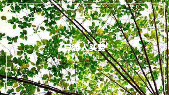導(dǎo)游人頭費