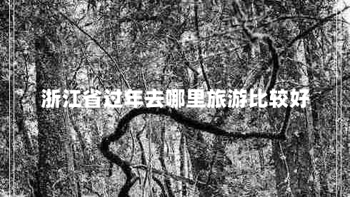 浙江省過(guò)年去哪里旅游比較好