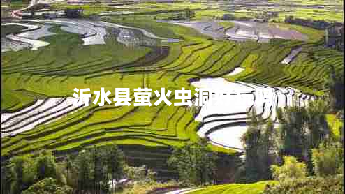 沂水縣螢火蟲洞好玩嗎