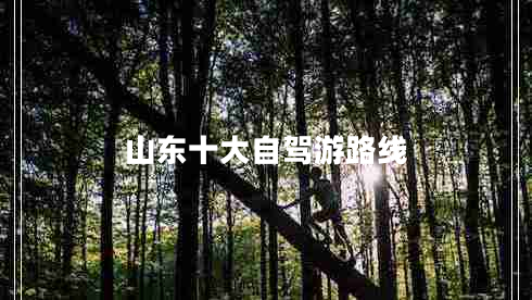 山東十大自駕游路線