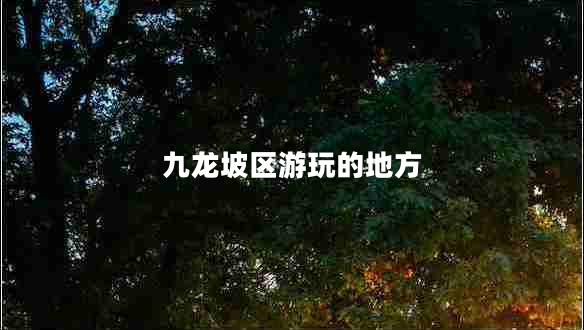 九龍坡區(qū)游玩的地方