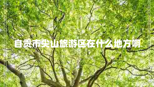自貢市尖山旅游區(qū)在什么地方啊