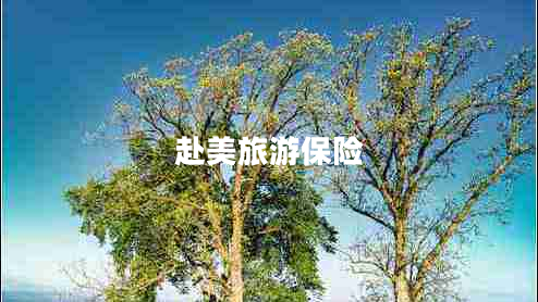 赴美旅游保險