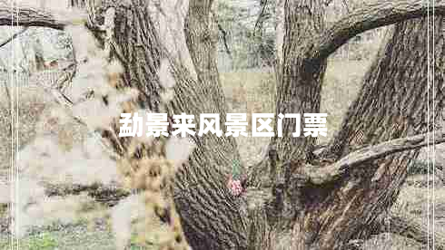 勐景來風(fēng)景區(qū)門票