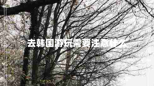 去韓國(guó)游玩需要注意什么