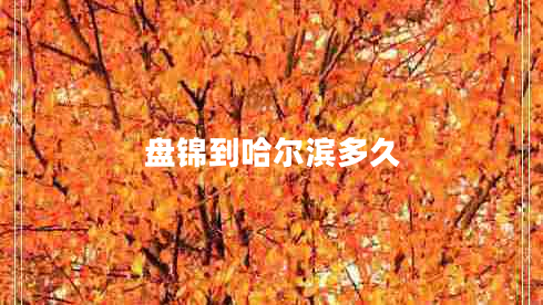 盤錦到哈爾濱多久