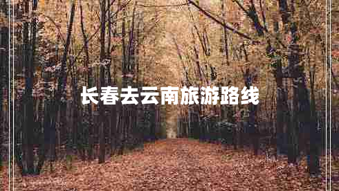 長春去云南旅游路線
